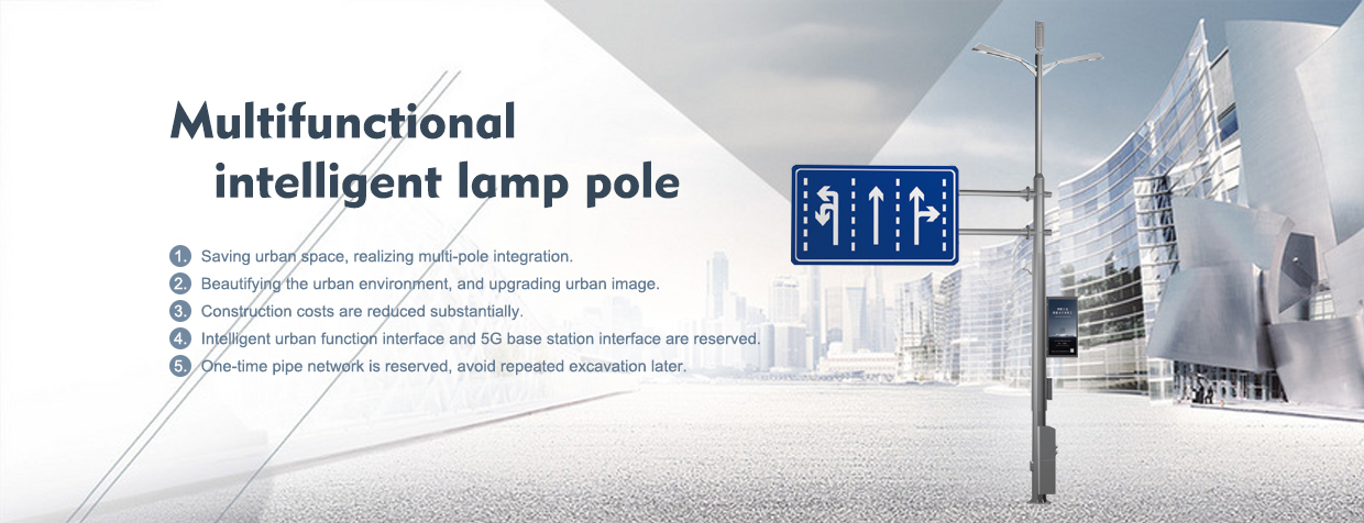 Multifunctional smart light pole
