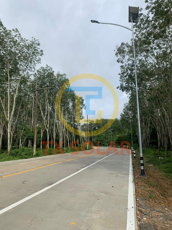Batwing lens solar street lights